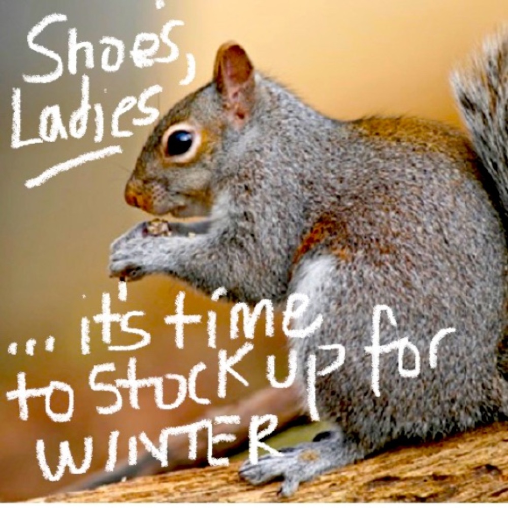 🐿 Bundle and save ladies!